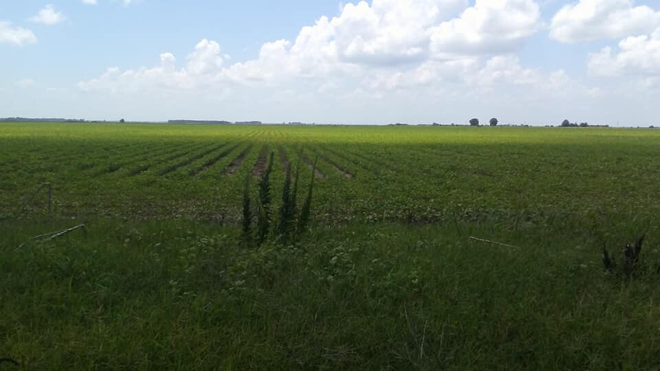 Learn How To Sell Land Fast